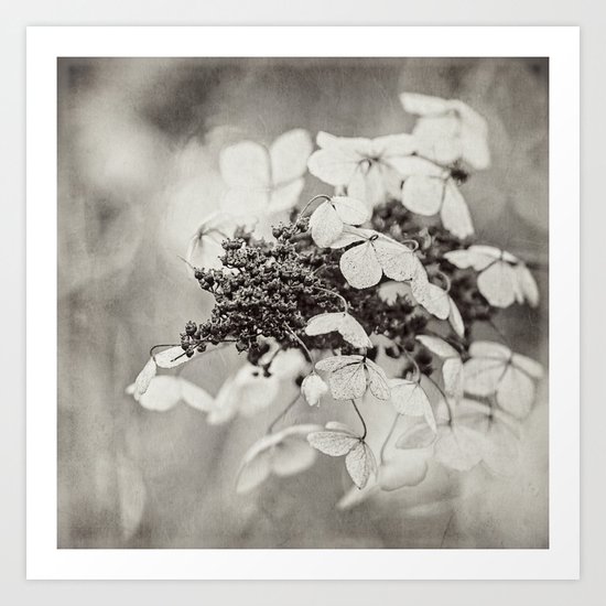 i dream in black and white Art Print