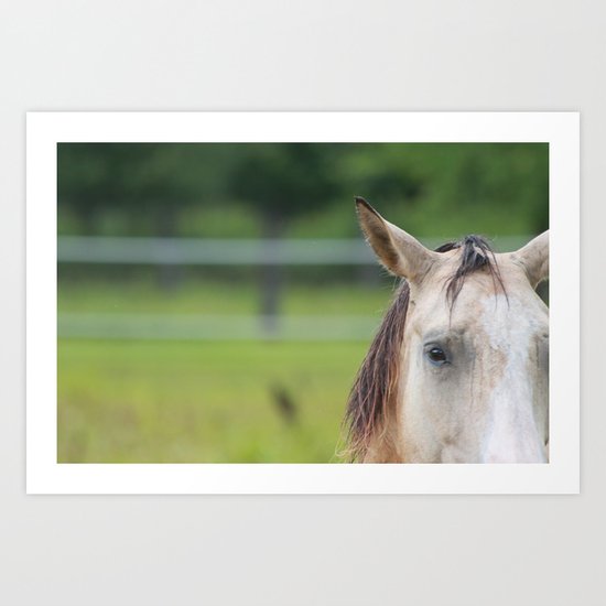 horse Art Print