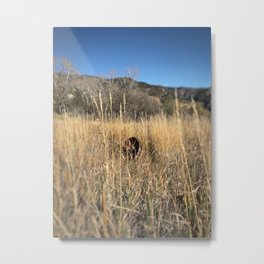 Abandoned wheel - Red Mountain, Glenwood Springs, CO Metal Print | Nature, Fall, Hdr, Abandonedwheel, Digitalmanipulation, Mountains, Wheel, Rust, Autumn, Color 