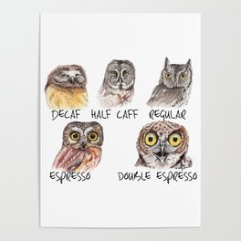 Owl Caffeine Meter -  funny owl coffee Poster