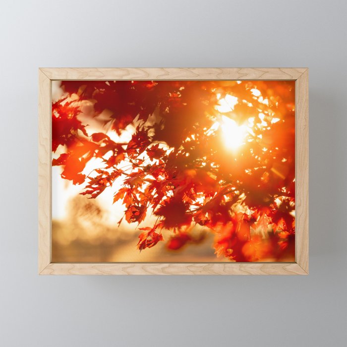 Red Autumn Framed Mini Art Print