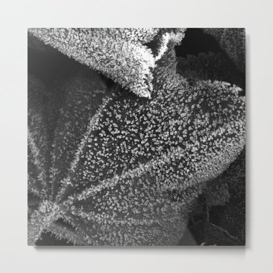 frosty time II Metal Print