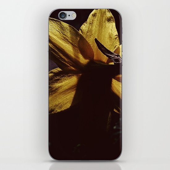 Into the light iPhone & iPod Skin