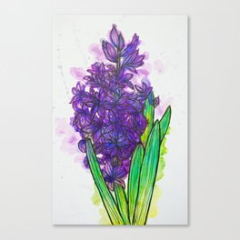 Purple Hyacinth Canvas Print