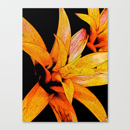 Yellow Bloom Canvas Print