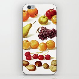 Vintage Fruit and Nut Artwork from Our Little Book for Little Folks iPhone Skin