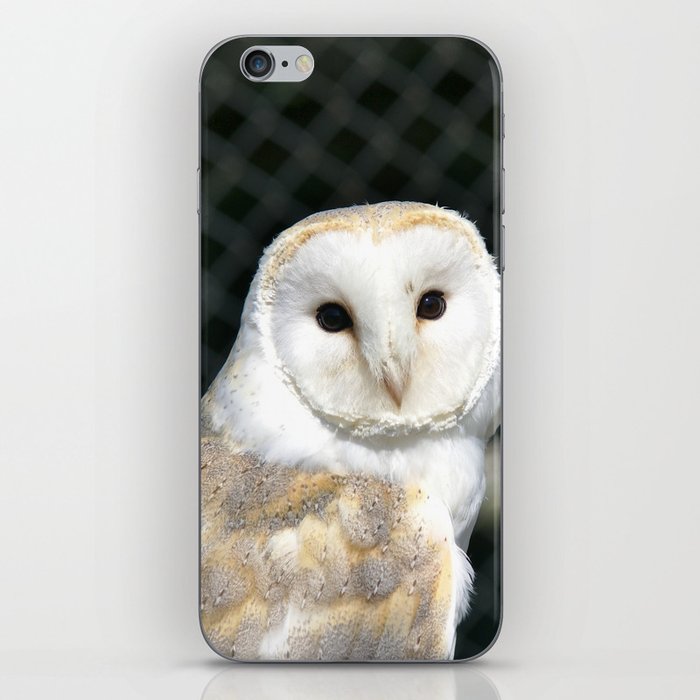 Barn Owl  iPhone Skin