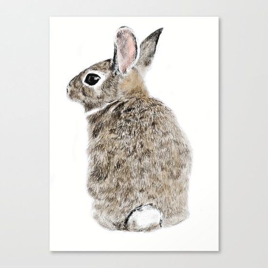 Rabbit Canvas Print