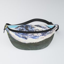 ross fanny packs