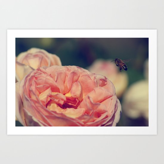 and so the bee comes Art Print