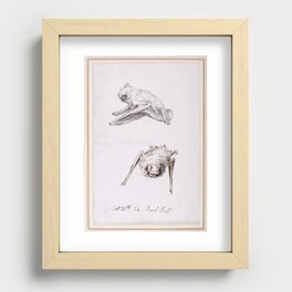 Bats by Beatrix Potter Recessed Framed Print