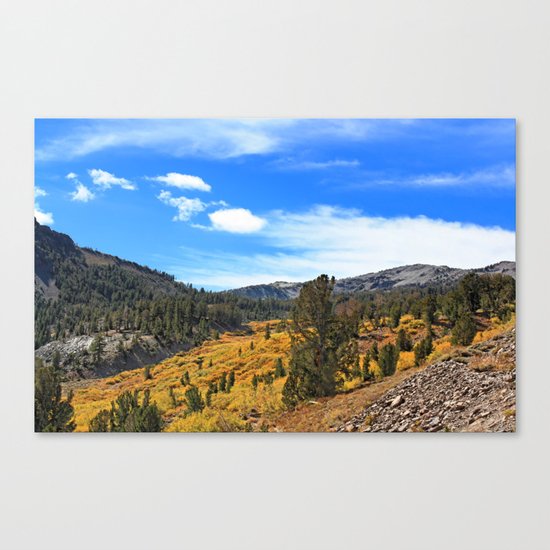 Mt Rose Canvas Print