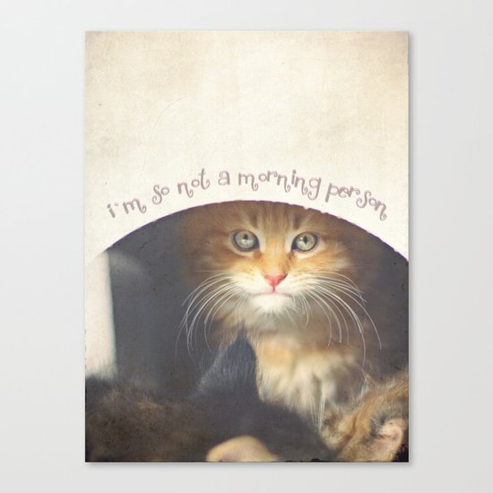 CAT Canvas Print