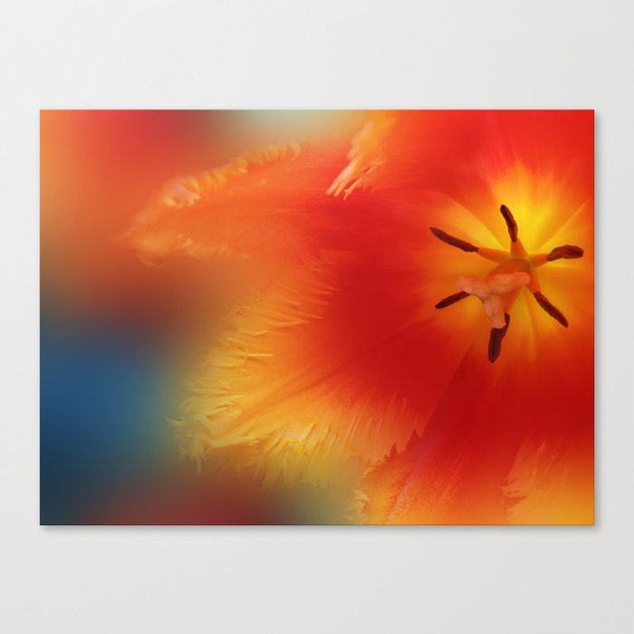 Welcoming Arms Canvas Print