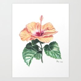 Sun Flower, Hibiscus, Watercolor Painting Art Print