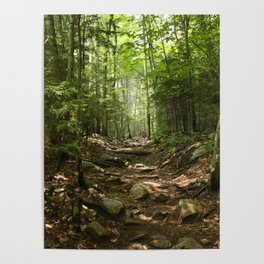 Forest Hike Poster