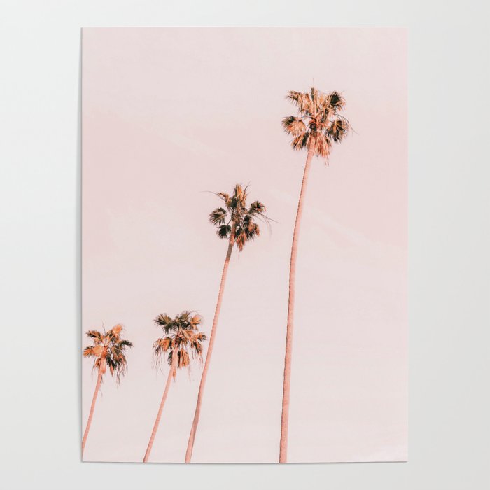 Summer Palms Poster