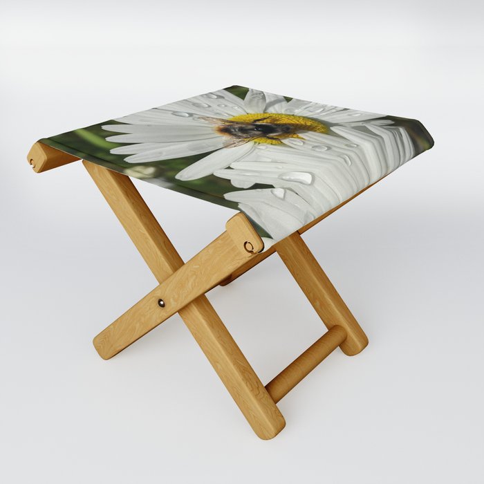 Busy As A Bee: Tattered But Not Tired Folding Stool