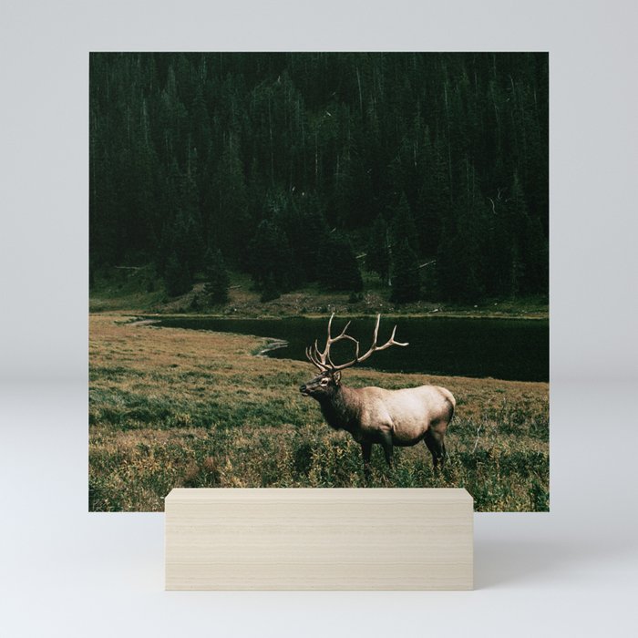 Oh Elk! Mini Art Print