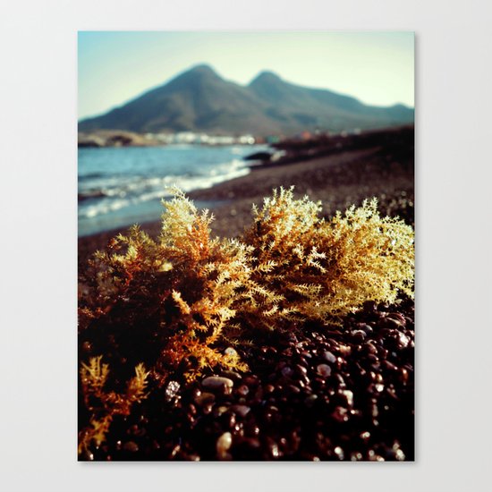 mediterranean diet Canvas Print