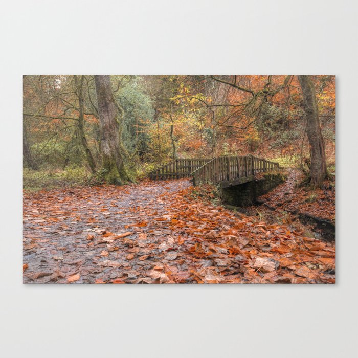 Autumn Colours at Sunnyhurst Wood, Lancashire Canvas Print
