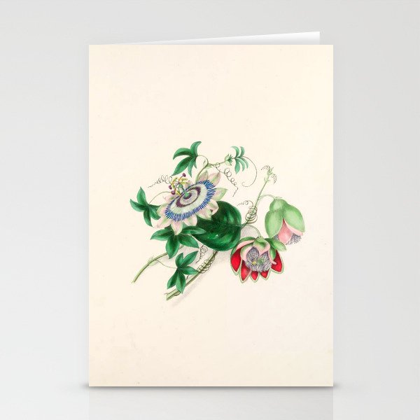  Passion-flower by Clarissa Munger Badger, 1866 (benefitting The Nature Conservancy) Stationery Cards