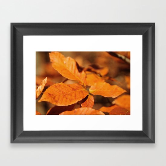 Autumn Leaves Framed Art Print