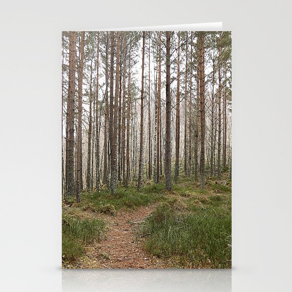 Scottish Highlands Nature Walk in Winter Stationery Cards