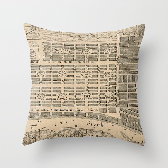 Throw Pillow