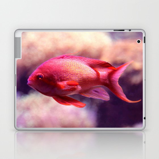 Red Fish Laptop & iPad Skin