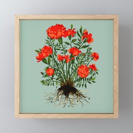Mexican Marigold Plant Painting in Sage Green Framed Mini Art Print