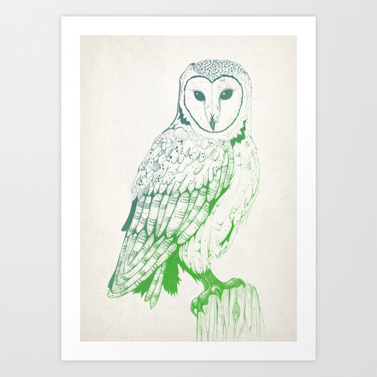 Barn Owl Art Print