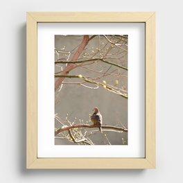 Highline Bird Recessed Framed Print