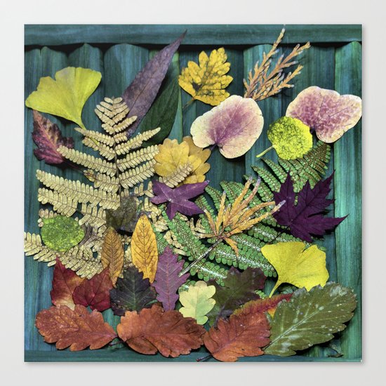 autumn abstract- fallen beauties Canvas Print