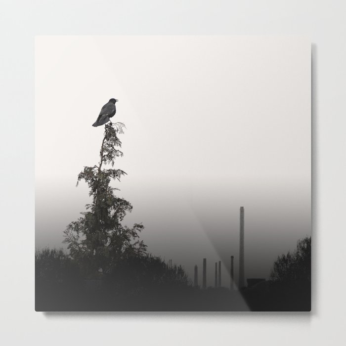 The Crow Metal Print