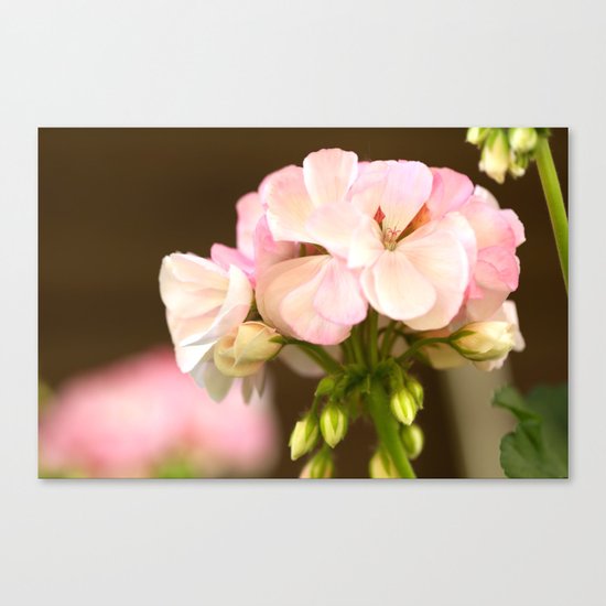 Soft Pink Petals Canvas Print