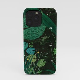 Frog Pond iPhone Case