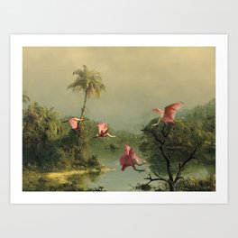Spoonbills in the Mist Art Print