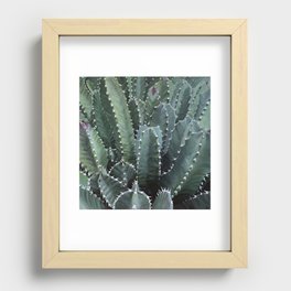 Cactus Garden Recessed Framed Print