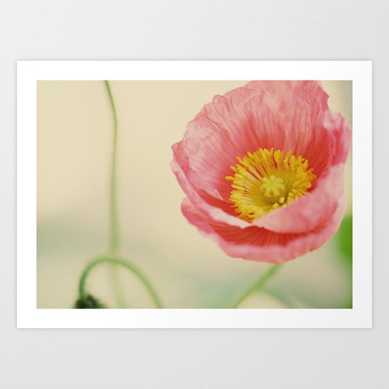 Pale Pink Art Print