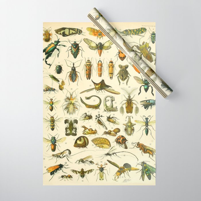 Adolphe Millot "Insectes" Nouveau Larousse 1905 Wrapping Paper