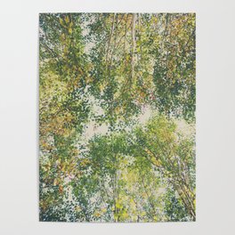looking up at the autumn leaves photograph Poster