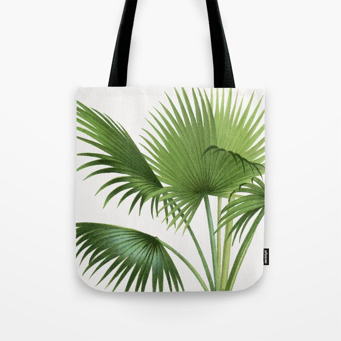 Vintage botanical print - palm tree illustration  Tote Bag