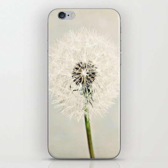 Dandelion Dreams iPhone Skin
