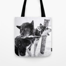 Snow Dogs | Northern Minnesota | Photography Tote Bag