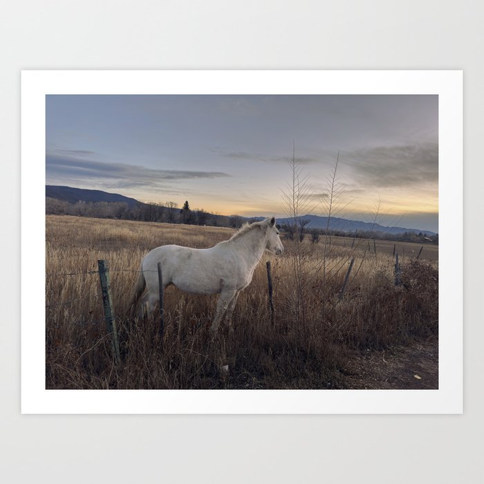 White Horse at dusk Art Print