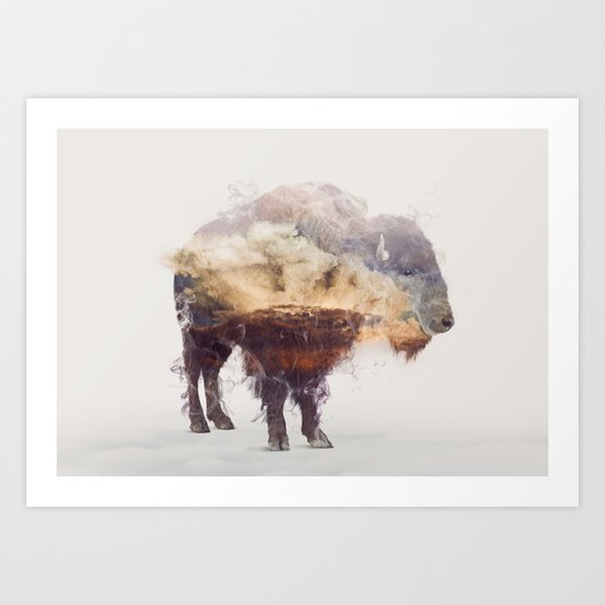 Bison Art Print