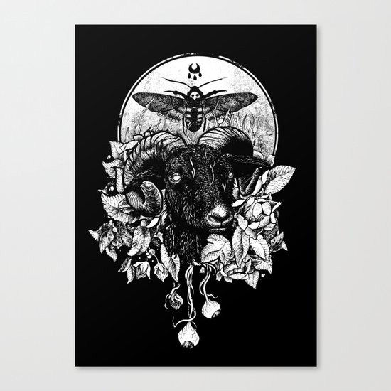 Krogl Canvas Print