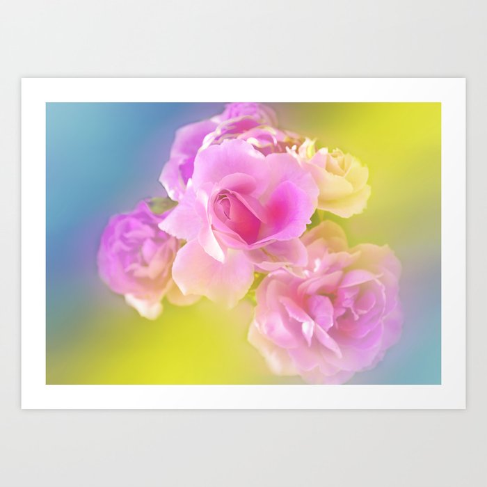 Heavenly Pink Roses Art Print