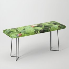 Mint Peppermint And Ladybugs Bench
